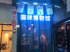 -猫咪博物馆(顶澳仔猫街店)
