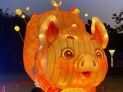 -文华公园(禅城区)