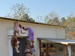 -HERRE·FARM 赫尔露营农场·团建聚会包场