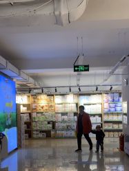 -纯一宝贝儿童游泳中心(生态大街店)