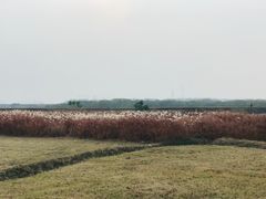 -盘龙城国家考古遗址公园