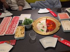 -熊喵来了火锅(四平万达第56分店)