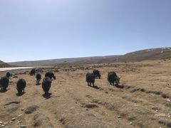 -日月山景区