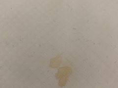 -上海中航虹桥机场泊悦酒店
