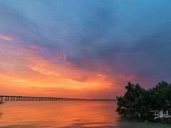-宝安西湾红树林湿地公园