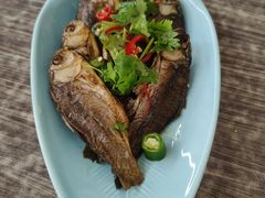 -粥翁粥婆(丛台店)