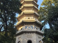 -灵谷景区