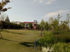 -上海长兴岛郊野公园