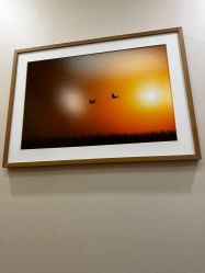 -北京米扬丽格医疗美容·联合丽格鼻整形中心