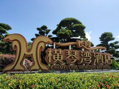 -长隆横琴湾酒店(珠海旗舰店)