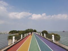 -贡湖湾湿地公园