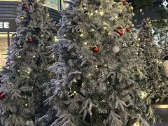 -东莞松山湖万象汇