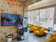 -德标艾诺口腔(敦化路店)