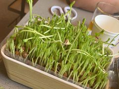 -海底捞火锅(苏宁生活广场店)