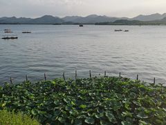 -湖畔居茶楼(湖滨店)