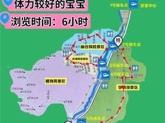 -汤旺河林海奇石景区