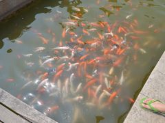 -亚龙湾中心广场