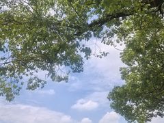 -上海佘山世茂艾美酒店