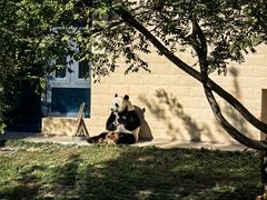 -石家庄市动物园