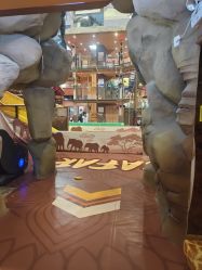 -卡通尼·Safari非洲探索乐园·生日会(金桥国际商业广场店)