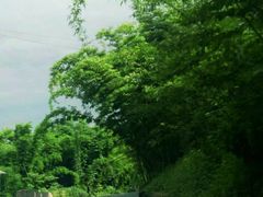 -沐川竹海旅游景区