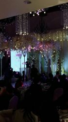 点击看大图 -伊莎贝拉婚礼庄园(顾村店)