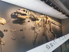 -重庆自然博物馆(新馆)