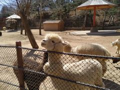-大连森林动物园
