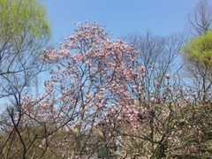 -杭州黄龙洞