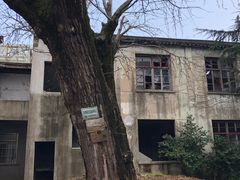 -东山雕花楼