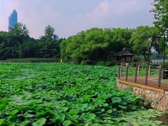 -月湖风景区