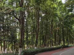 -龙头寺公园