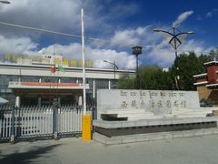 -西藏自治区图书馆