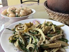 -农家老屋药根鸡