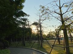 -海堤纪念公园