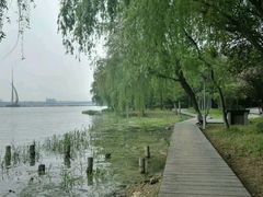 -高子水居