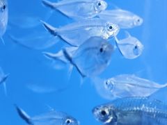 -青岛海底世界-水族馆