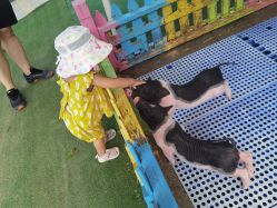 -萌宠亲子动物乐园(槐房万达店)