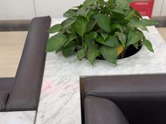-上海仁爱医院