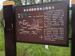 -重庆彩云湖湿地公园