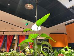 大堂-半秋山西餐厅(巴南万达广场店)