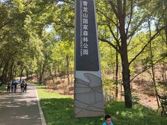 -青龙山国家森林公园