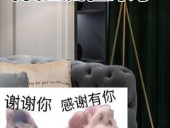 -绿色家缘甲醛治理公司(中关村店)