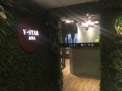 -V-STAR威斯达•高级私人定制