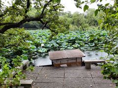 -西溪国家湿地公园