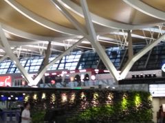 -上海浦东国际机场-T2航站楼