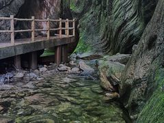 -牛背梁国家森林公园