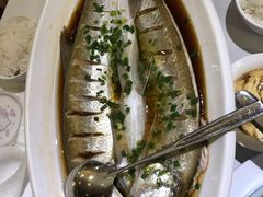 -同庆楼(滨湖万达广场店)