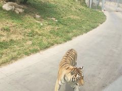 -西安秦岭野生动物园