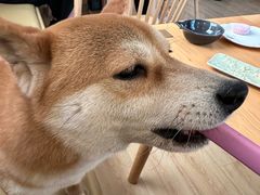 -柴の食堂·日式家庭料理·熊之肆(大学路店)